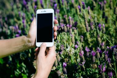 Lizbon Portekiz - 13 Mayıs, 2017: portre üzerinde Apple iphone 7 smartphone mockup uzay arka plan kullanan kişi. Güneşli açık havada bakış alay