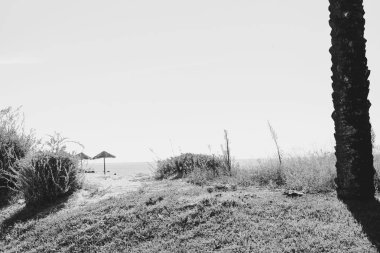 Tropik kumlu sahil ve açık havada güneşli gökyüzü okyanusunun siyah beyaz görüntüsü.