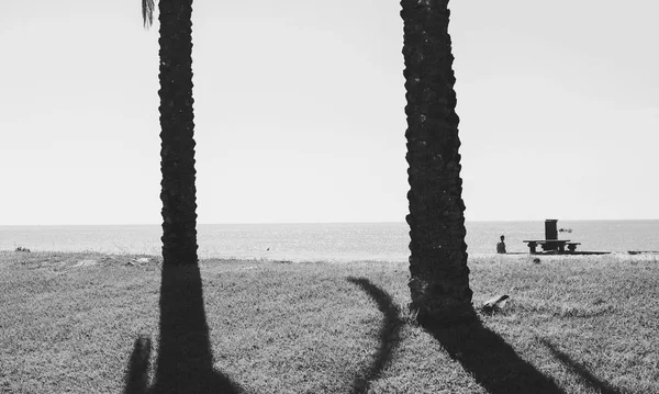 熱帯砂のビーチの黒と白の画像日当たりの良い空の海屋外の背景 — ストック写真