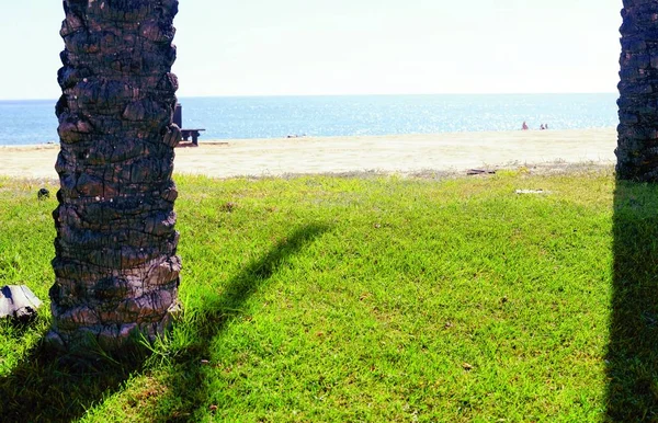 Tropica Spiaggia Sabbia Erba Verde Blu Cielo Soleggiato Oceano All — Foto Stock