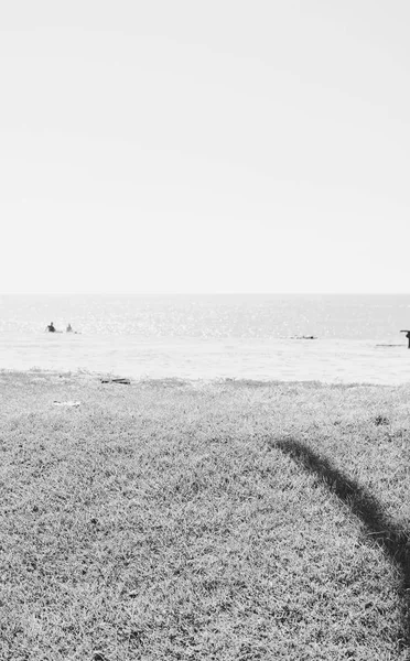 Tropik kumlu sahil ve açık havada güneşli gökyüzü okyanusunun siyah beyaz görüntüsü.