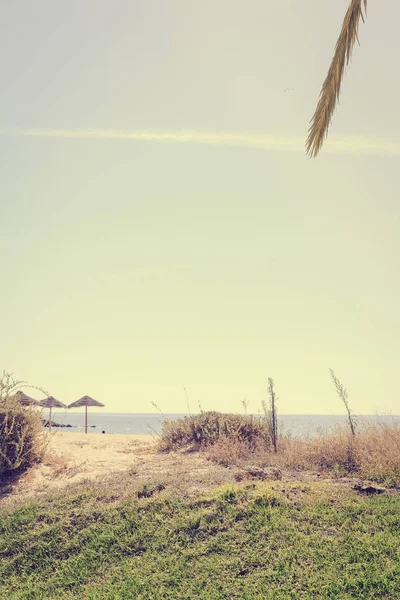 Tropica Spiaggia Sabbia Erba Verde Blu Cielo Soleggiato Oceano All — Foto Stock