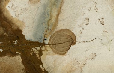 Yumuşak renkli tai dai mermer