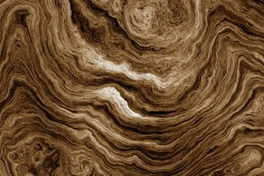 ağaç kökleri arkaplanı