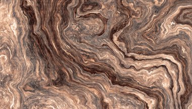 ağaç kökleri arkaplanı