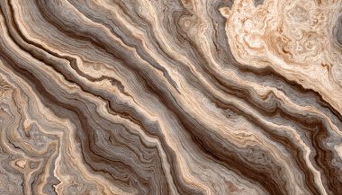 ağaç kökleri arkaplanı