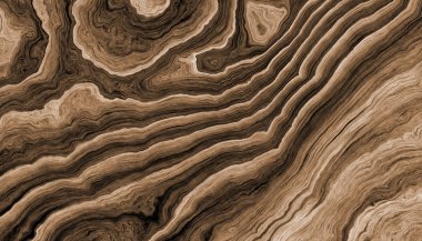 ağaç kökleri arkaplanı