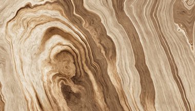 ağaç kökleri arkaplanı