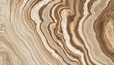 ağaç kökleri arkaplanı