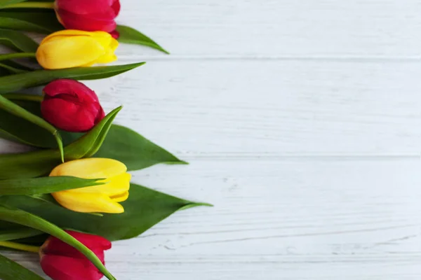 Drewniane białe tło i świeże tulipany. Poczęcia wakacje, Ma — Zdjęcie stockowe