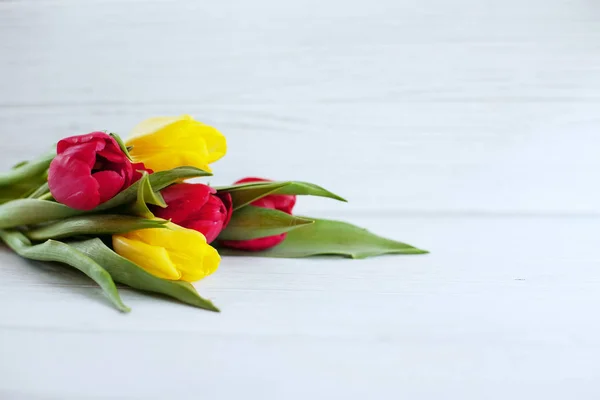 Drewniane białe tło i żółte i czerwone kwiaty. H poczęcia — Zdjęcie stockowe
