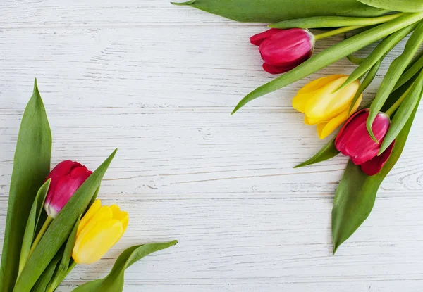 Piękne tulipany na białym tle. Poczęcia wakacje, Marc — Zdjęcie stockowe