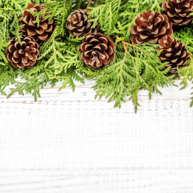 Noel ağacı ve koniler ahşap beyaz zemin üzerinde. İçin yer