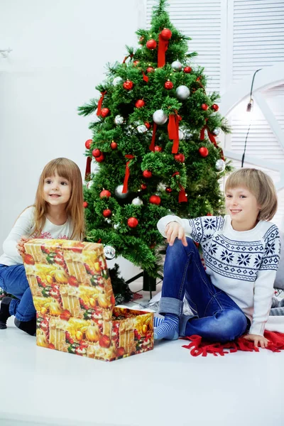 Geschwisterchen in der Nähe von Weihnachtsbaum. — Stockfoto