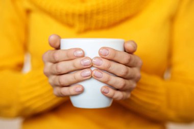 Fincan çay sizin elinizde. İçecek konsepti, yaşam tarzı, Tortum