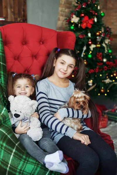 Dos chicas se sientan con un perro en el sofá. El concepto de Navidad — Foto de Stock