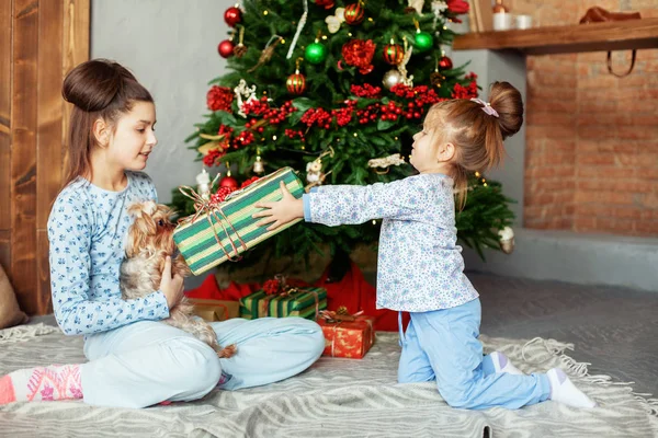 La niña le da un regalo a su hermana. . — Foto de Stock