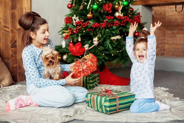 Hermanas graciosas abren regalos. El concepto de Navidad — Foto de Stock
