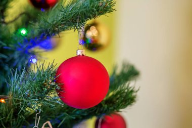 Noel ağacı üzerinde kırmızı top. Arka plan. Yeni yıl ve Noel