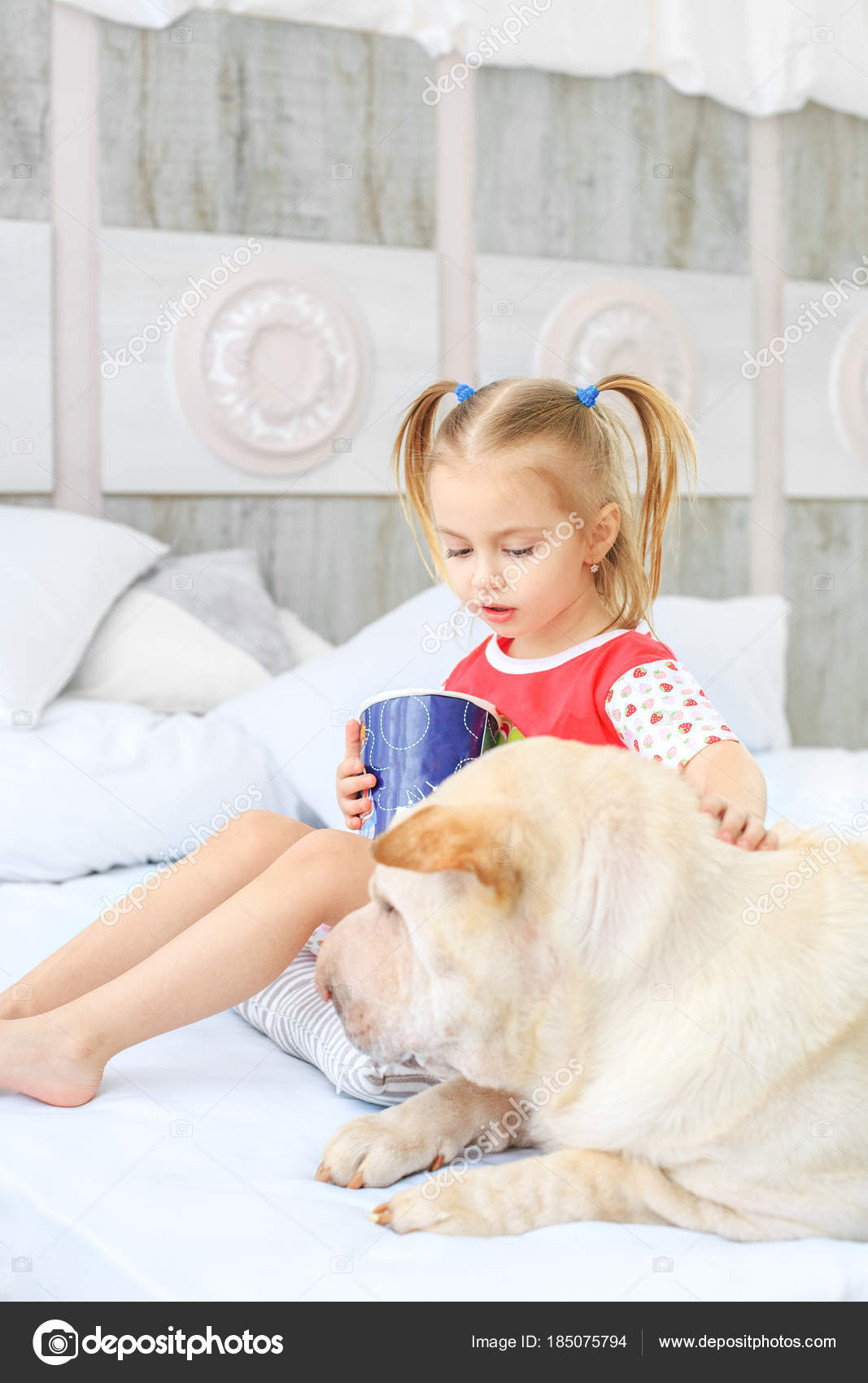ポップコーンを食べる小さな子供 犬は女の子の近くにあります ストック写真 C Luxury133 Gmail Com ポップコーンを食べる小さな子供 犬は女の子の近くにあります ストック写真 C Luxury133 Gmail Com