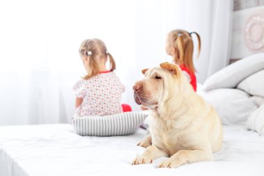 İki çocuk oturur ve pencereden dışarı bakmak. Köpek inci üzerinde yalan söylüyor