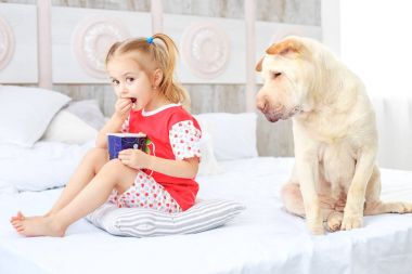 Patlamış mısır yemek küçük bir çocuk. Köpek aç. 