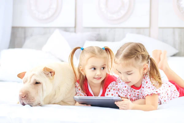 Dvě malé děti dívky sledoval karikatury na tabletu. Pes. — Stock fotografie