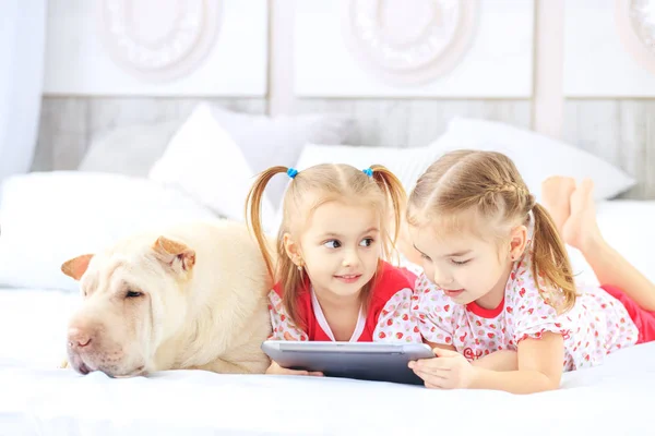 İki küçük çocuk kız çizgi film tablet izliyor. Köpek. 