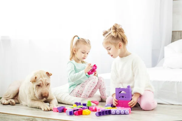 Educational toys for preschool and kindergarten child. Two child