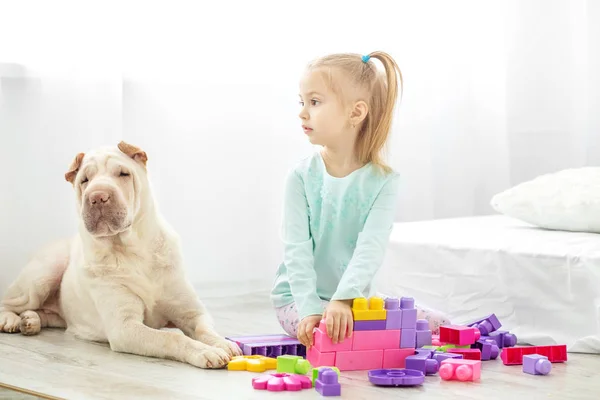 Předškolní dívka hraje hračky v místnosti se psem. Conce — Stock fotografie