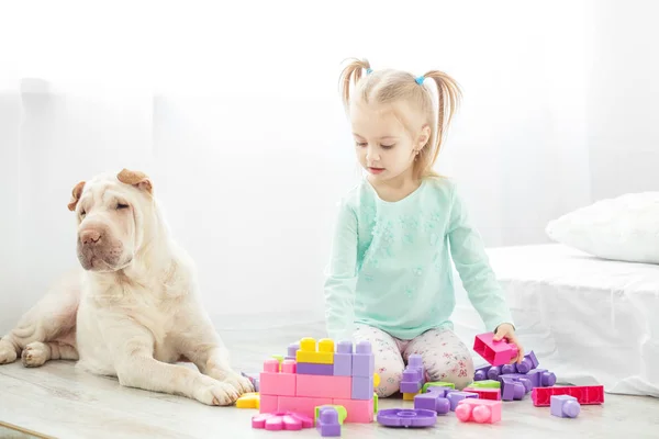 Předškolní dítě hraje s hračkami v místnosti se psem. V — Stock fotografie