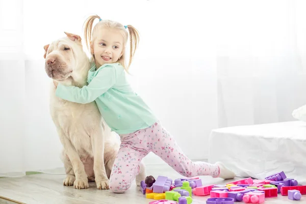 Preschooler objetí velkého psa v místnosti. Pojem životní styl — Stock fotografie