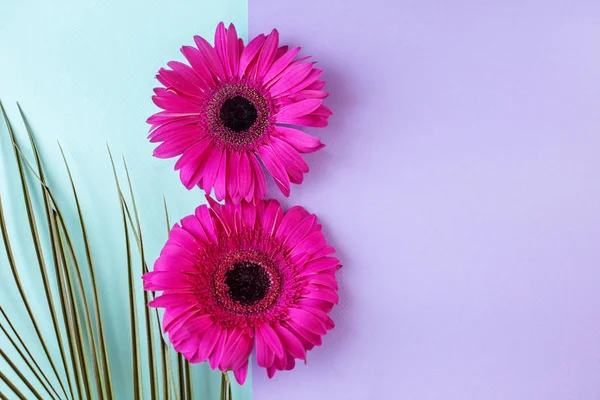 Tarjeta Felicitación Con Día Internacional Mujer Hola Concepto Primavera Estilo — Foto de Stock