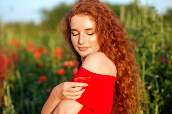 Belle Jeune Fille Aux Cheveux Roux Très Longs Champ Pavot — Photo