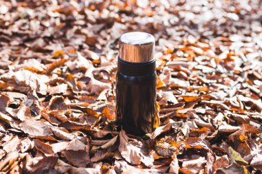 Termos sonbahar yaprakları