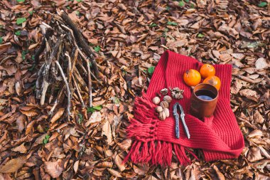 Kupası ve eşarp fındık