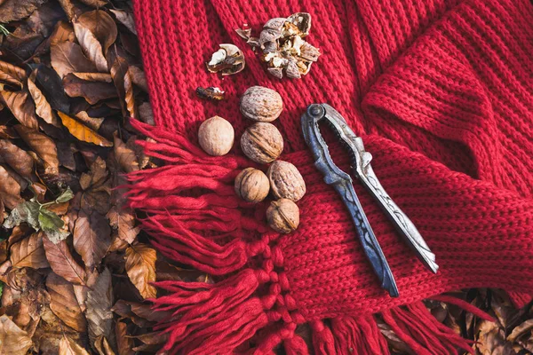 Cascanueces y nueces en la bufanda —  Fotos de Stock