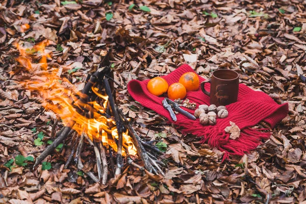 Tasse und Nüsse auf Schal — Stockfoto