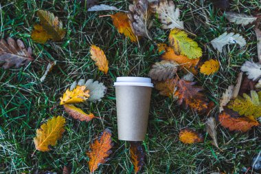 sonbahar ormandaki Kupası