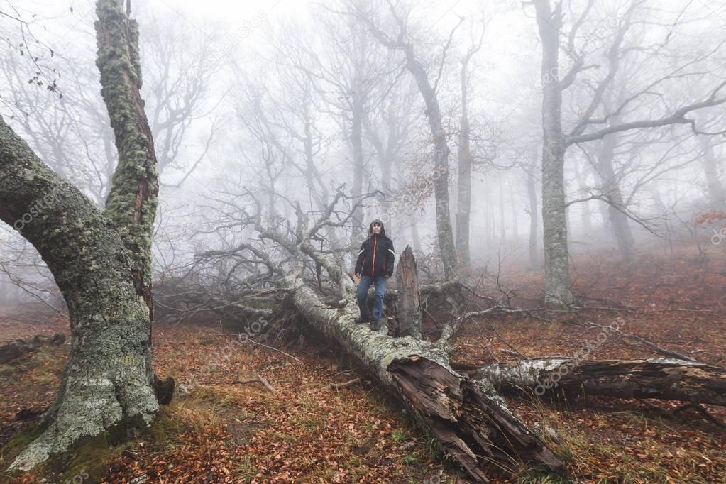 Man alone in mysterious  forest 