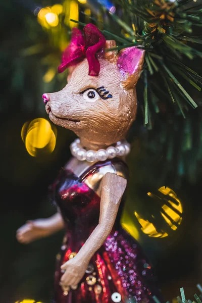 Mode en grappige fox — Stockfoto