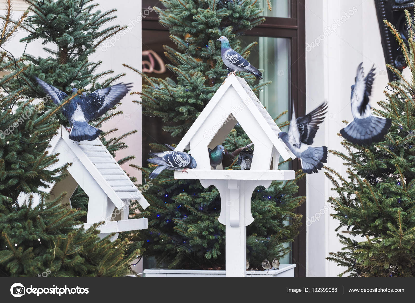 lovely outdoor bird feeders in fur trees decorations for christmas photo by olegbreslavtsev - Outdoor Christmas Tree Decorations For Birds lovely outdoor bird feeders in fur trees decorations for christmas photo by olegbreslavtsev - Outdoor Christmas Tree Decorations For Birds