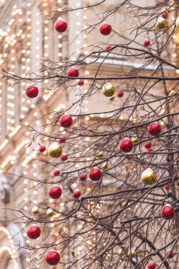 Tam Noel için süslenmiş sokakları 