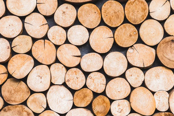 Textura de troncos de madera — Foto de Stock