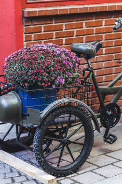 Eski bisiklet ile sokak dekorasyon 
