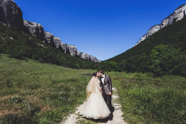 Retrato de pareja de boda en campo verde —  Fotos de Stock