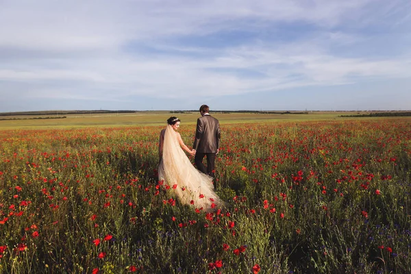 Wandelen door bloeiende bloemen veld jonggehuwden — Stockfoto