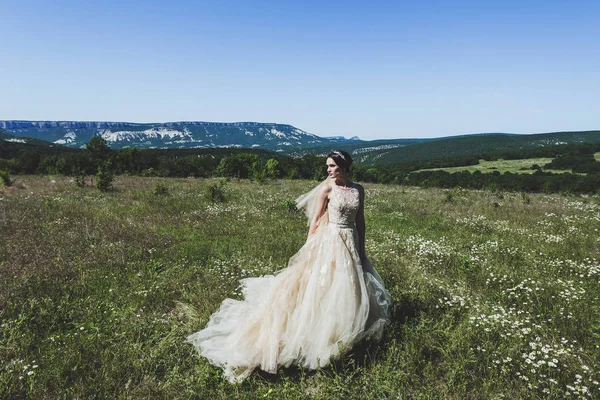 緑のフィールドでファッションの花嫁の肖像画 — ストック写真