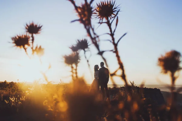 Silhouetten van liefdevolle paar — Stockfoto