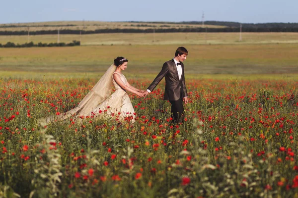 Recién casados caminando en el campo —  Fotos de Stock